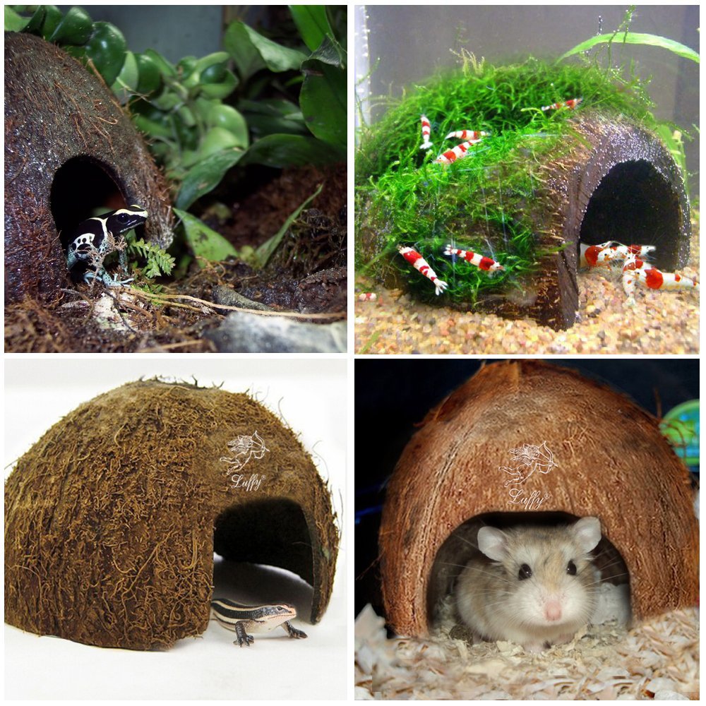 SunGrow hutte coco pour gecko à crête, décor terrarium attrayant et facile à nettoyer.