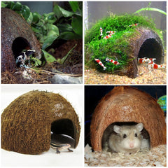 SunGrow hutte coco pour gecko à crête, décor terrarium attrayant et facile à nettoyer.