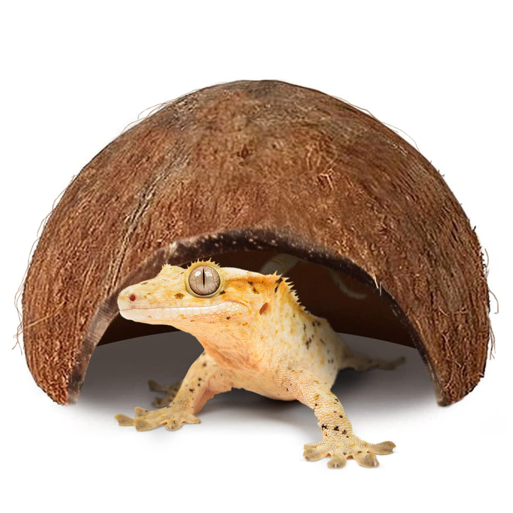 SunGrow hutte coco pour gecko à crête, perchoir naturel offrant stimulation et repos.