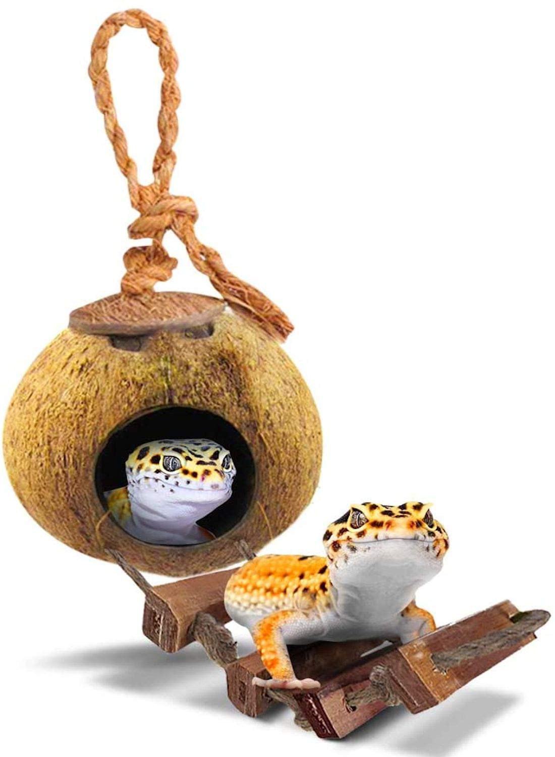 SunGrow hutte gecko léopard en noix de coco avec escabeau, refuge durable et naturel.