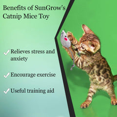 SunGrow jouet souris herbe à chat pour chaton, favorise activité physique et coordination.