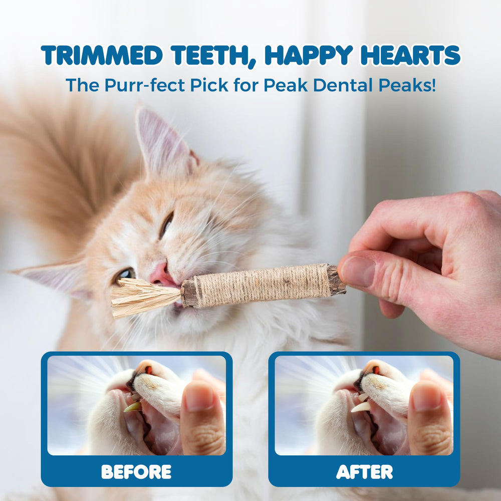 SunGrow dents et gencives: peut soutenir une routine de mastication chez chiens et chats.