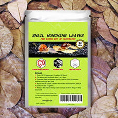 SunGrow mini-feuille Catappa pour escargots, snack naturel et abri.