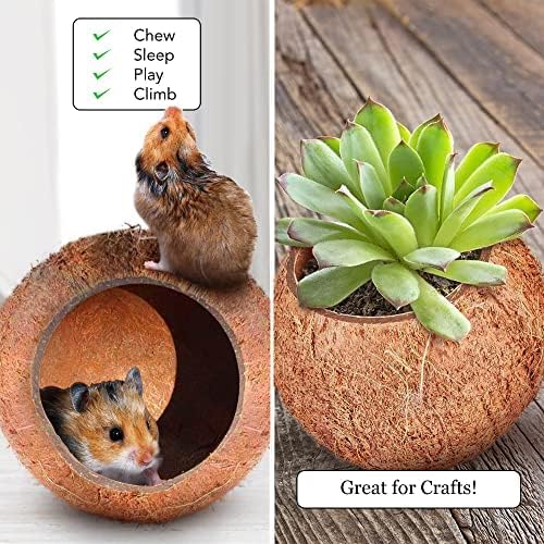 SunGrow ouverture 6 cm refuge petits animaux: accessibilité pratique et sécurisée.