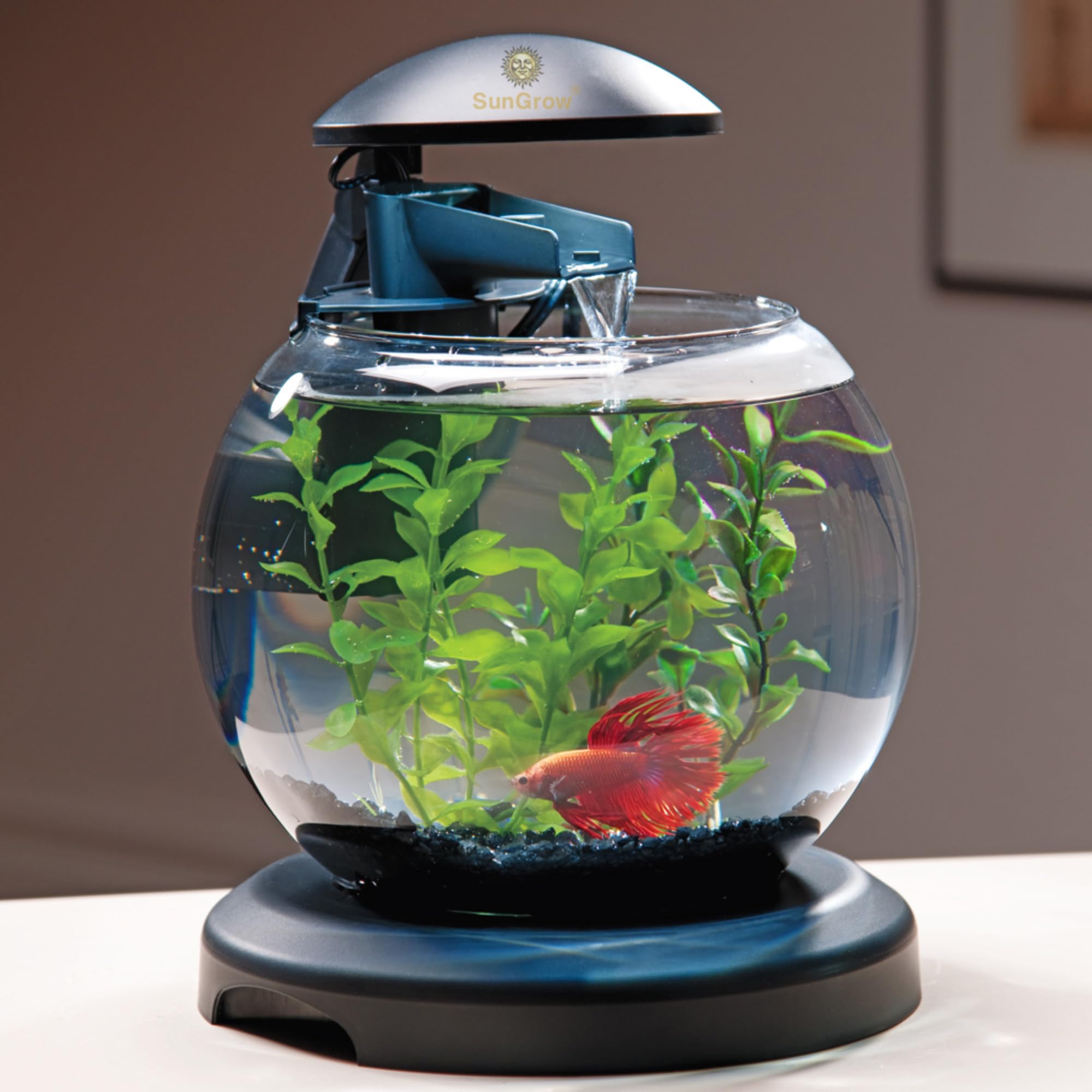 SunGrow plante de 10 pouces servant de refuge et espace de nage pour poissons