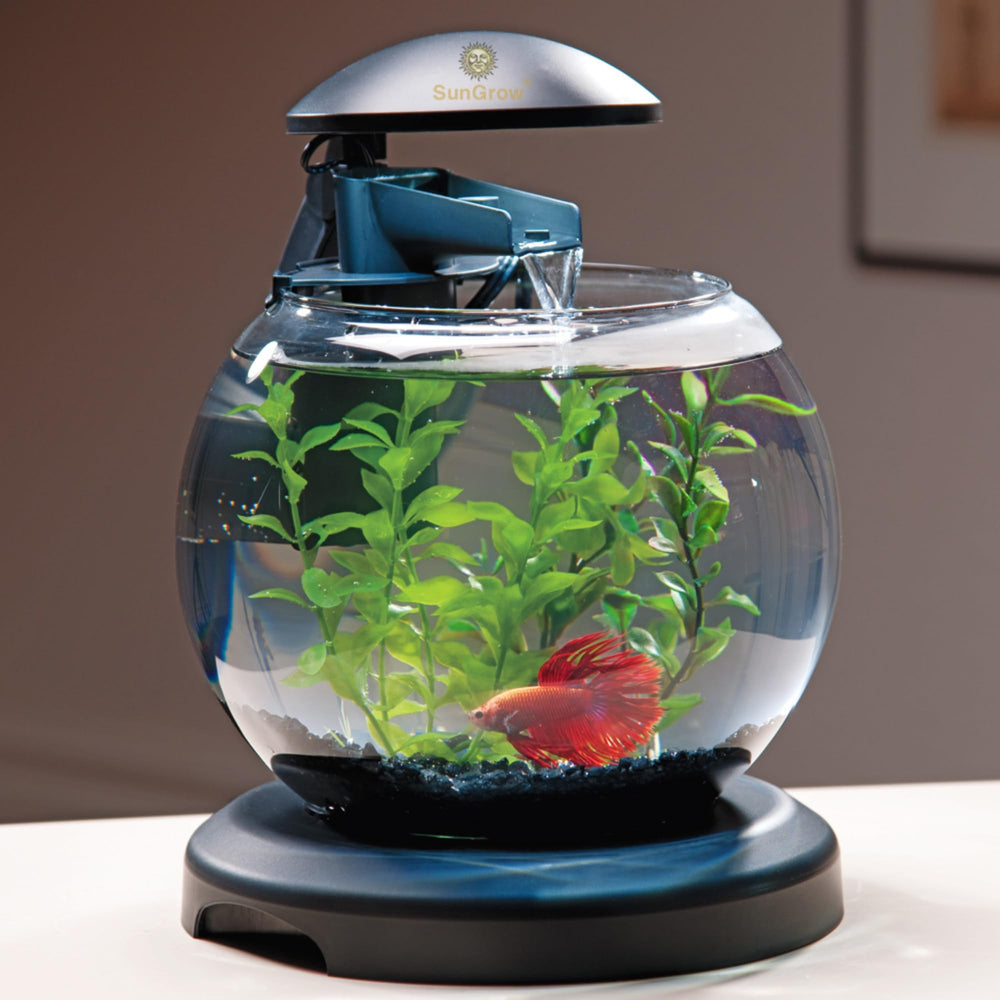 SunGrow plante de 10 pouces servant de refuge et espace de nage pour poissons