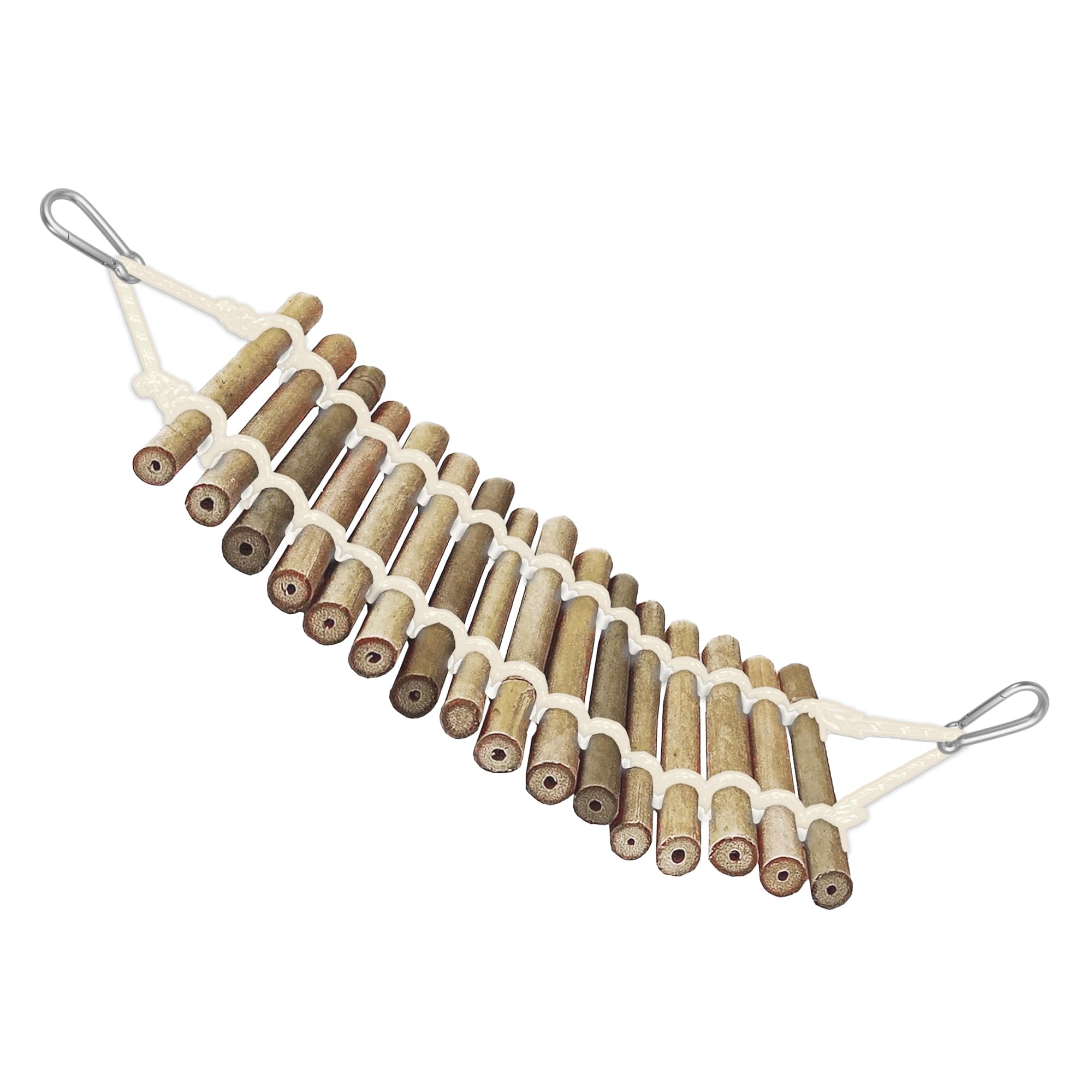 SunGrow pont suspendu pour terrarium, encourage mouvement et épanouissement.