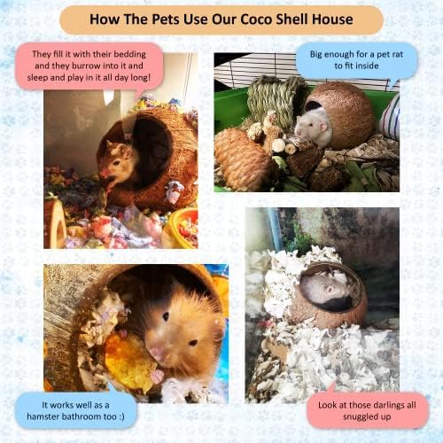 SunGrow refuge coque noix serpent-ball python: abri durable et naturel.