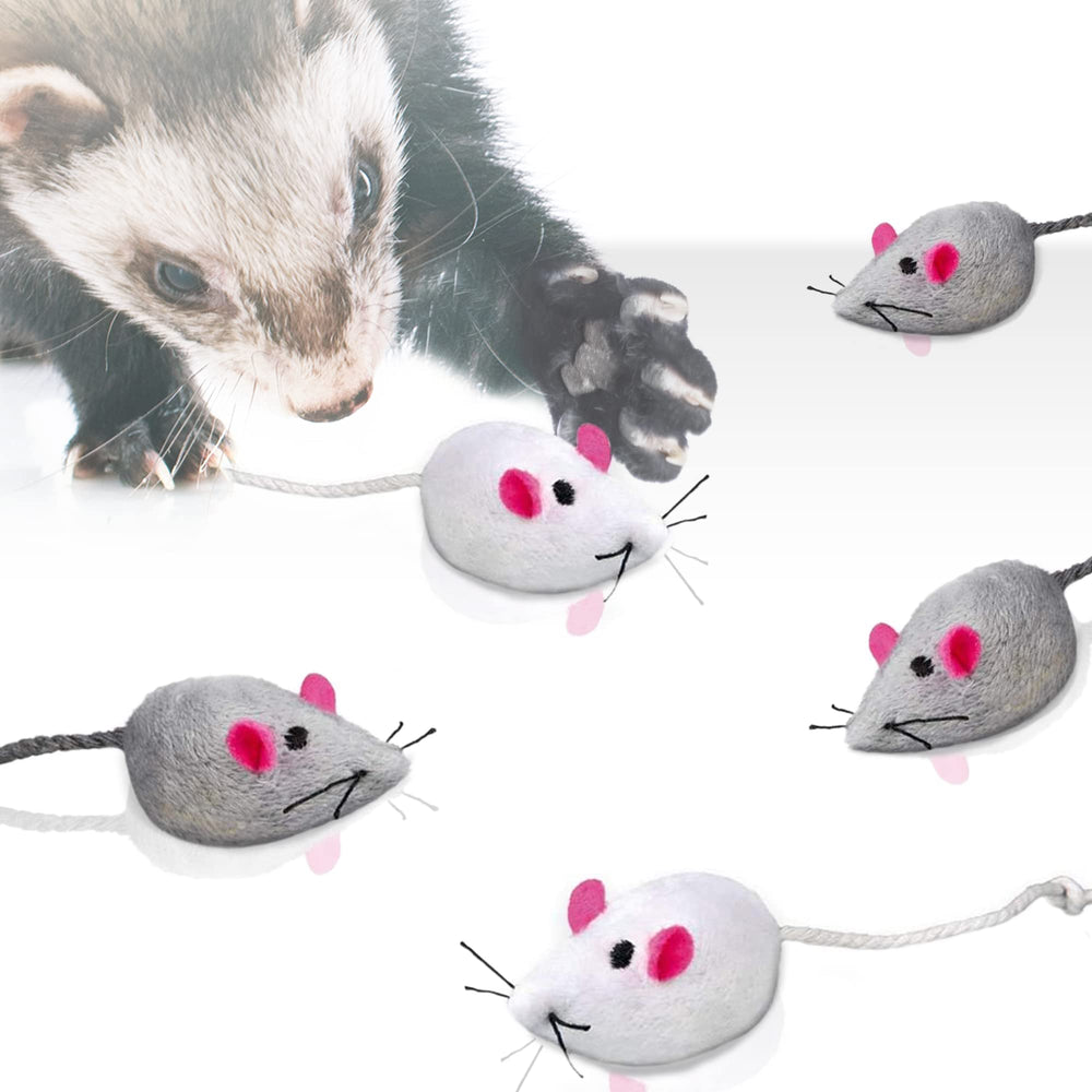 SunGrow souris herbe à chat durable et économique, protège vos tapis et meubles.
