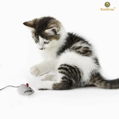 SunGrow souris herbe à chat réalistes, parfaites pour chasser et jouer.