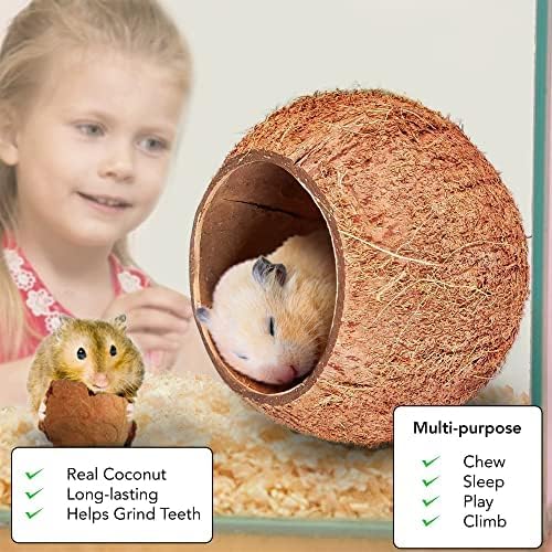 SunGrow texture coco-refuge reptile: textures variées stimulent les mouvements.