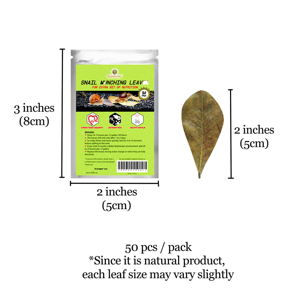 SunGrow mini-feuille Catappa facile à déchirer pour petits aquariums.