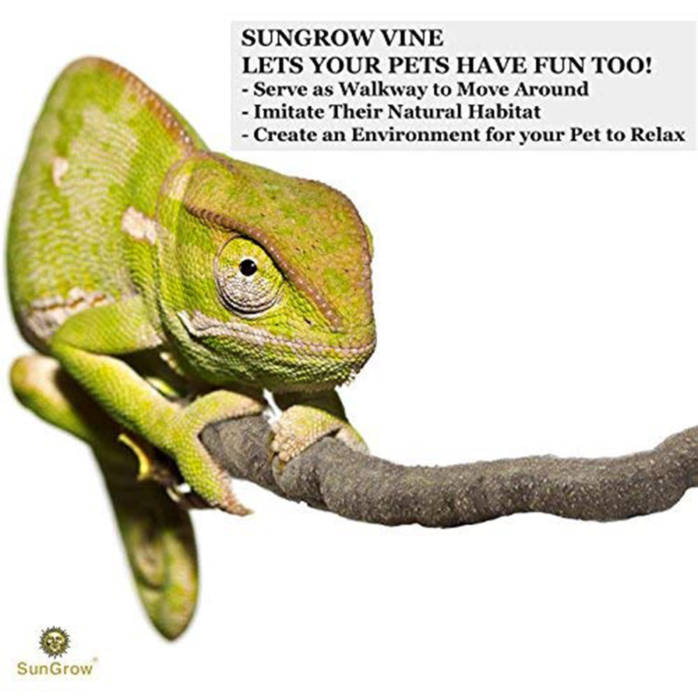 SunGrow Vigne Déco Naturel Terrarium pour enrichir l habitat