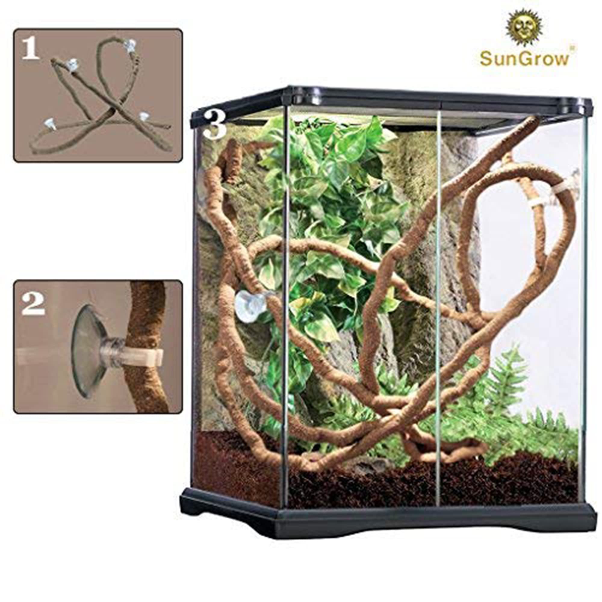 SunGrow Vigne Ventouses Installation fixation fiable