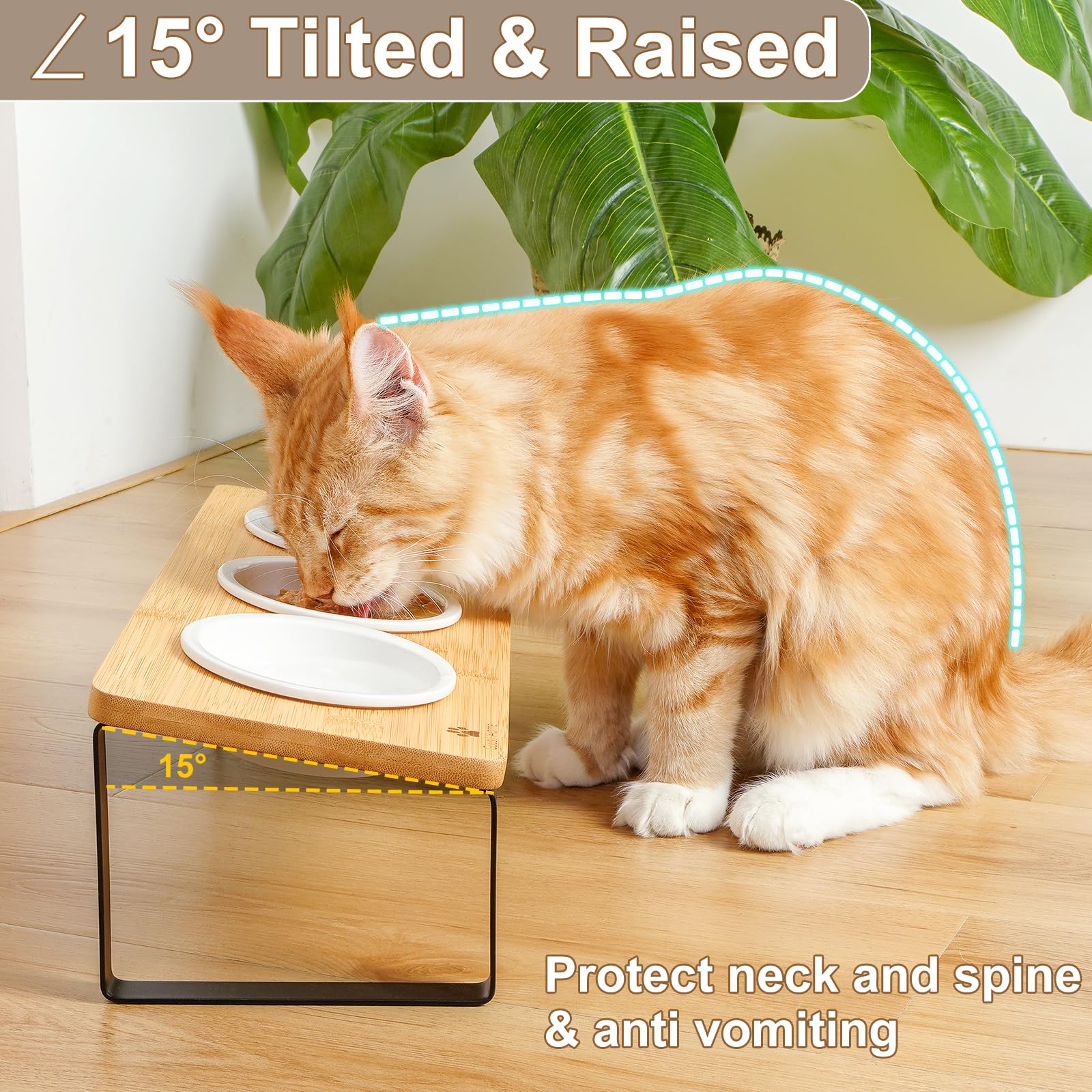 Sunhoo support bois naturel – socle stable pour repas de chat