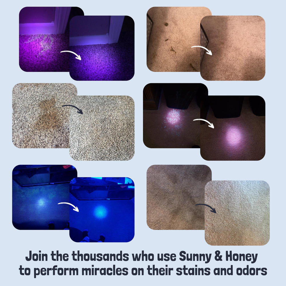 Sunny et Honey bouteille 32 oz menthe: solution polyvalente pour surfaces variées
