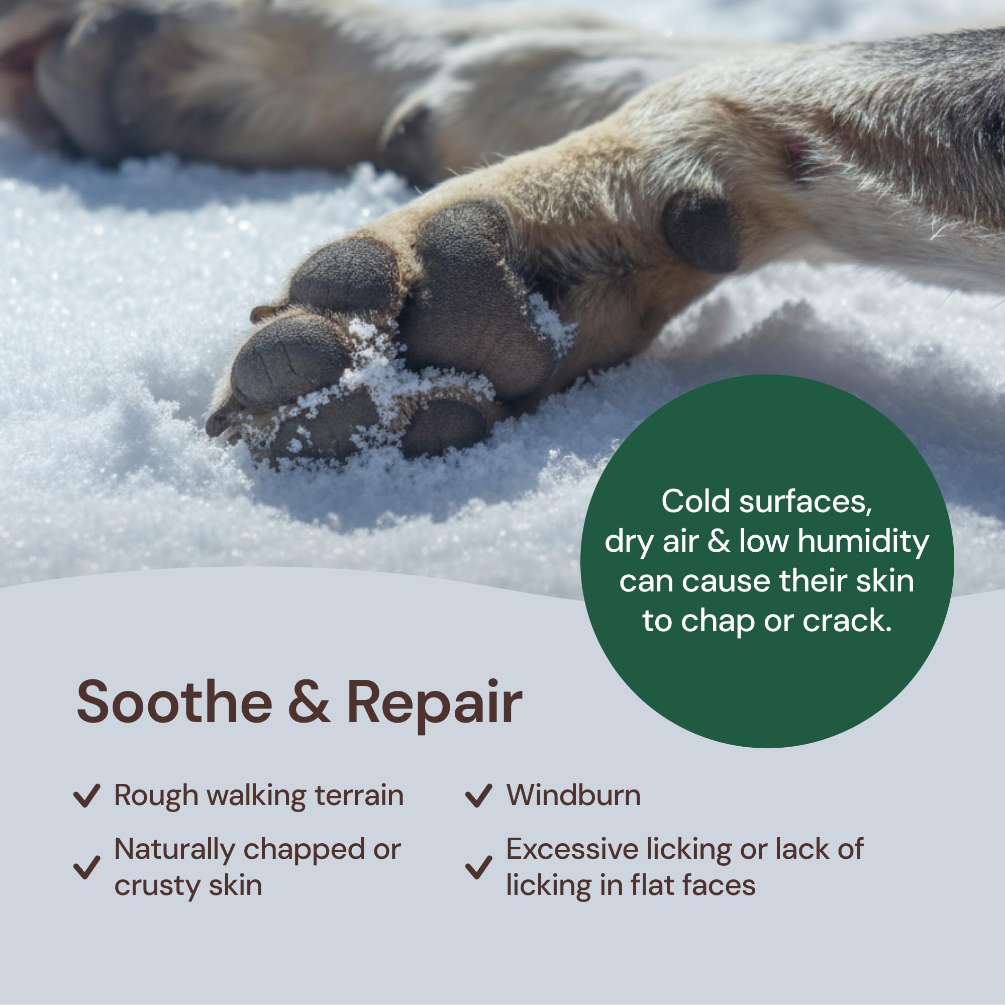 Sunny & Honey baume protection toutes saisons, usage extérieur pratique.
