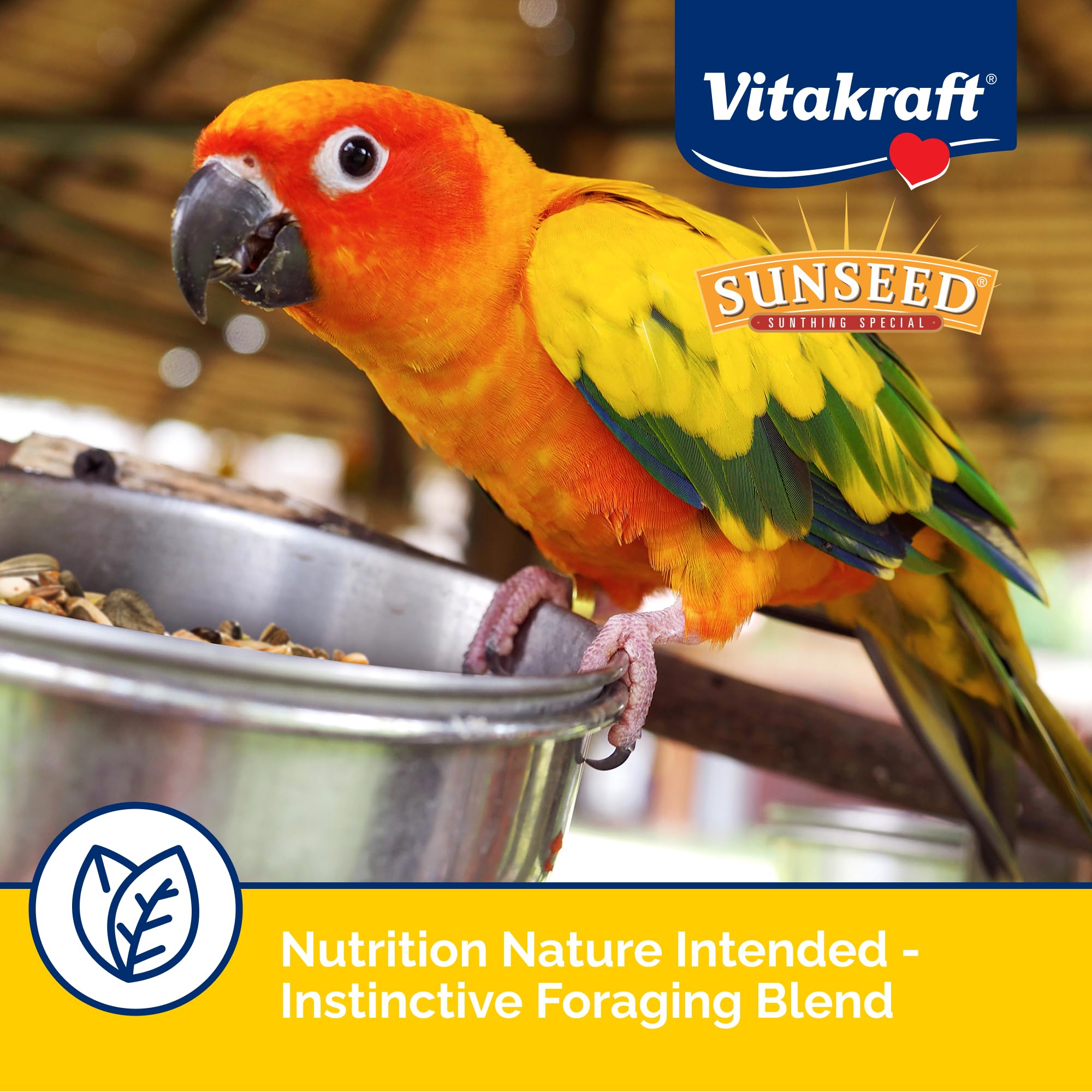 Sunseed Vita Prima Conure forage-naturel pour stimulation et curiosité.