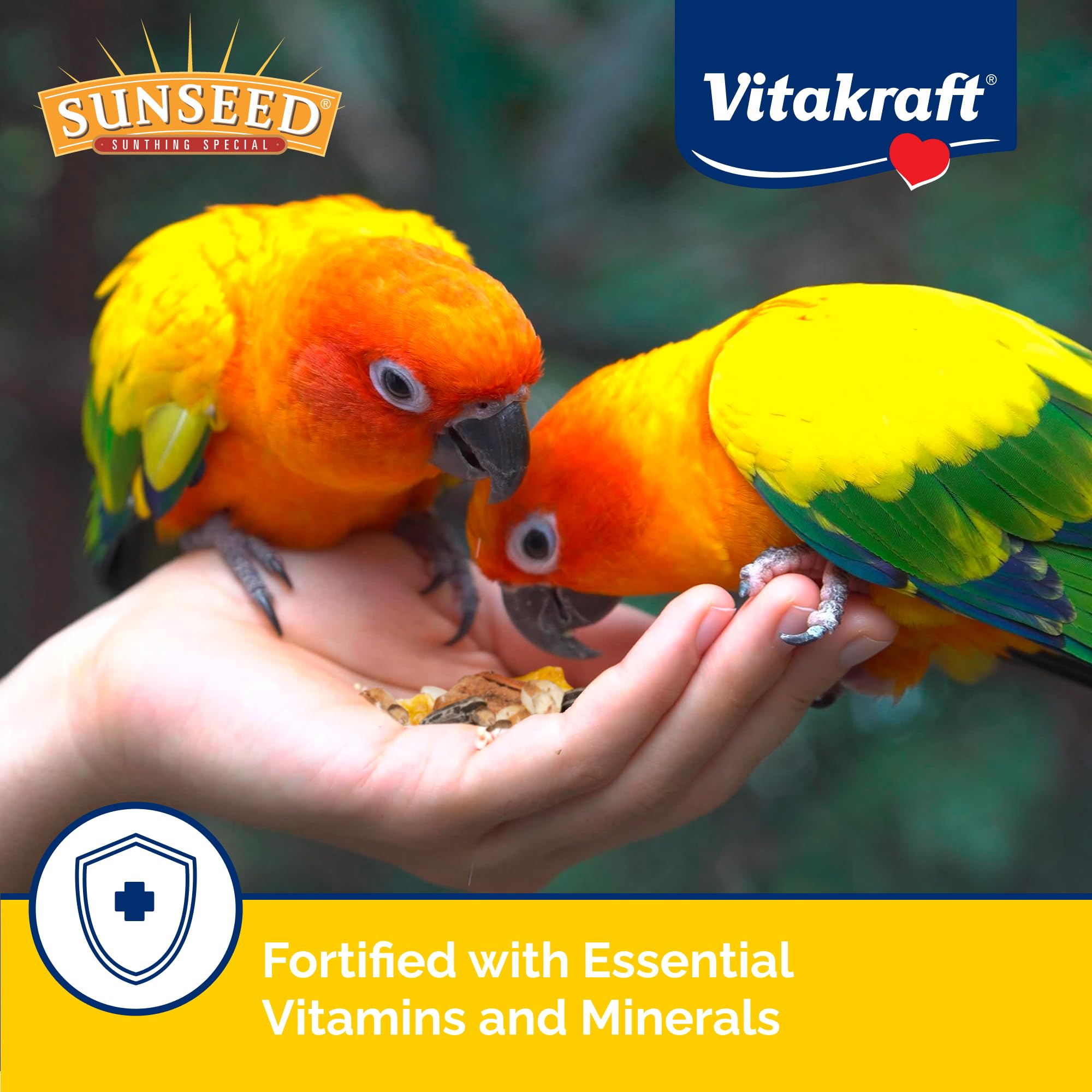Sunseed Vita Prima Conure plumage-couleurs-brillantes pour couleurs vives.