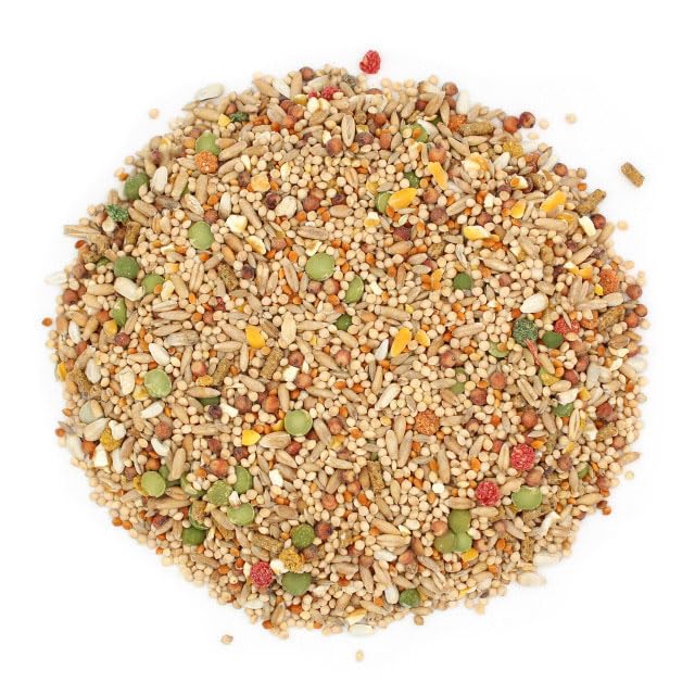 Fabriqué aux États-Unis, Sunseed Vita Sunscript garantit qualité et traçabilité.