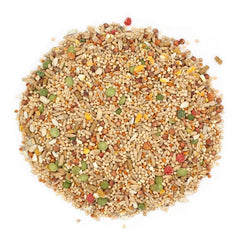 Fabriqué aux États-Unis, Sunseed Vita Sunscript garantit qualité et traçabilité.