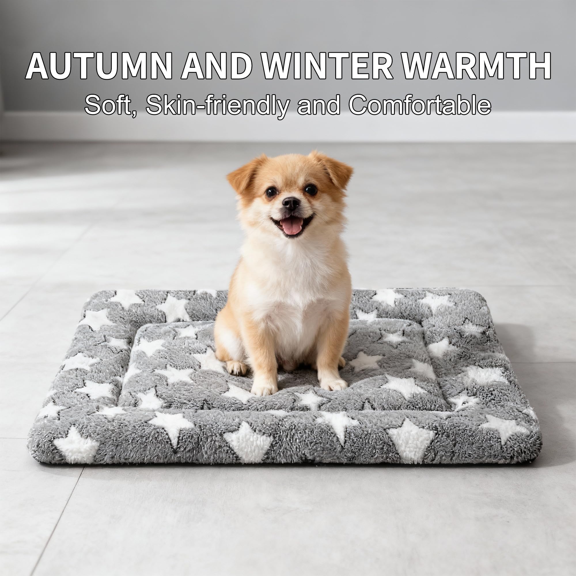 SUNSHE coussin chien face frais idéal pour journées chaudes