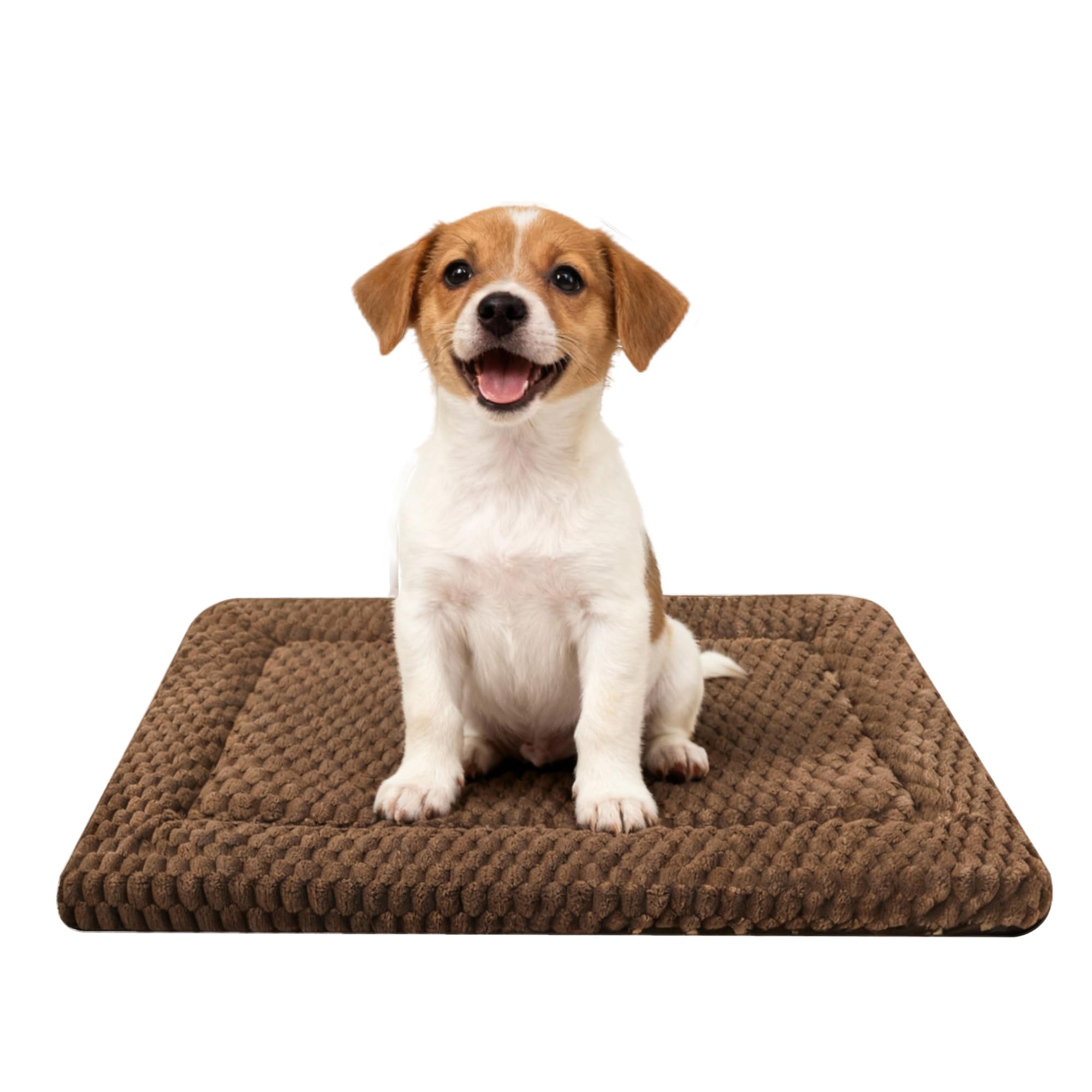 Natte SUNSHE pour chien, surface douce et réversible pour un confort durable.