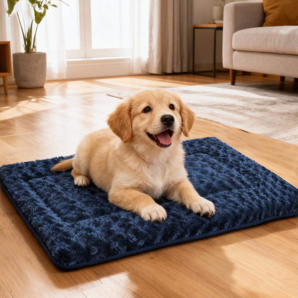 SUNSHE Tapis dortoir chat doux : refuge moelleux pour sieste.