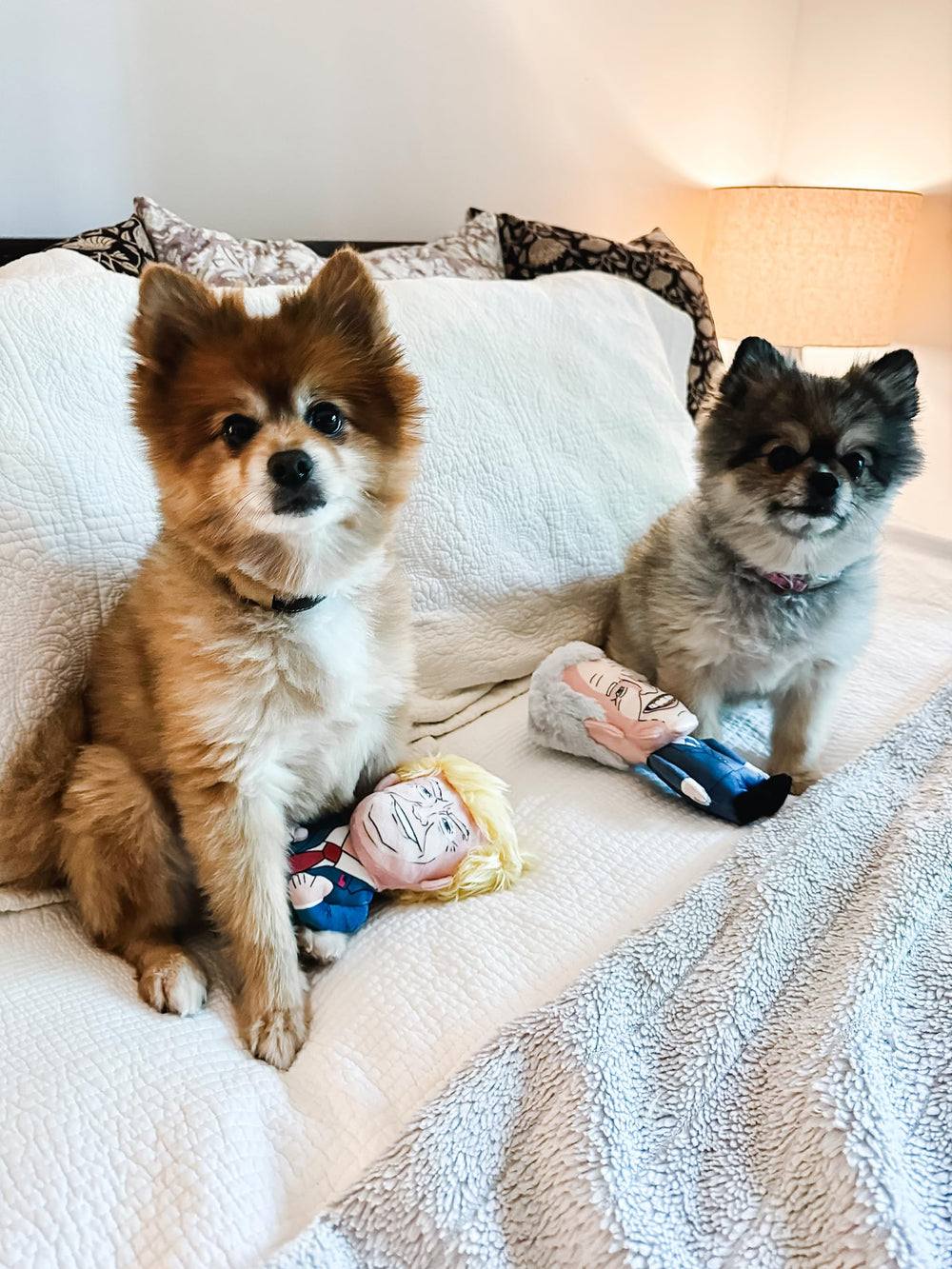 SUNSPARK jouet pour chien et chat, parfait pour rapporter et câliner.