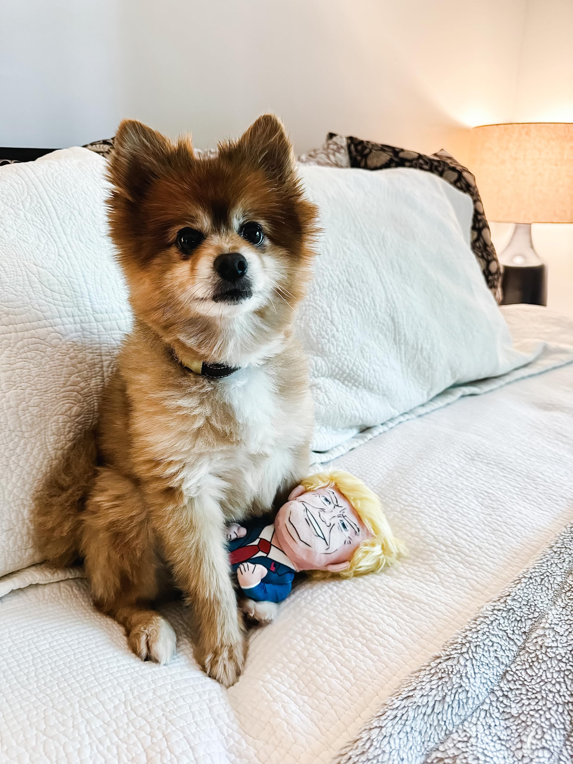 SUNSPARK peluche résistante, adaptée aux mâchouillages énergiques.