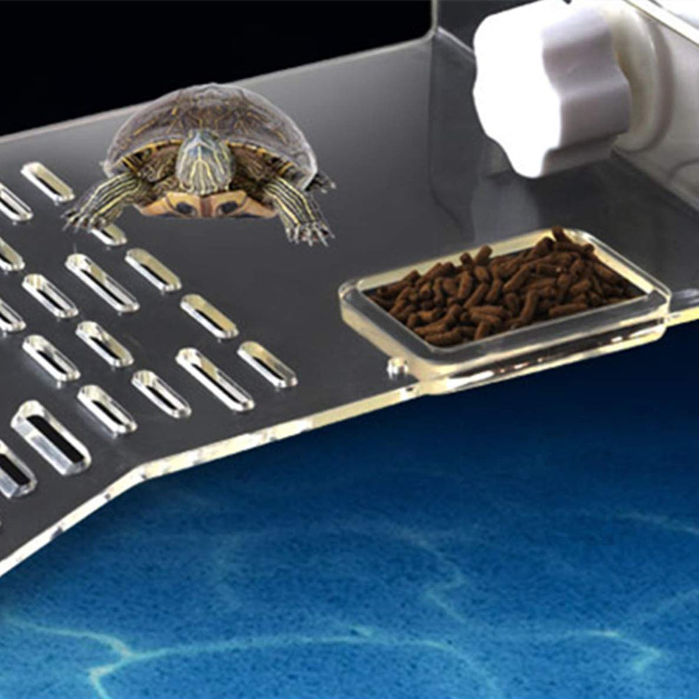 Sunxenze Escaliers repos tortue: design terrasse pour grimper sans effort.