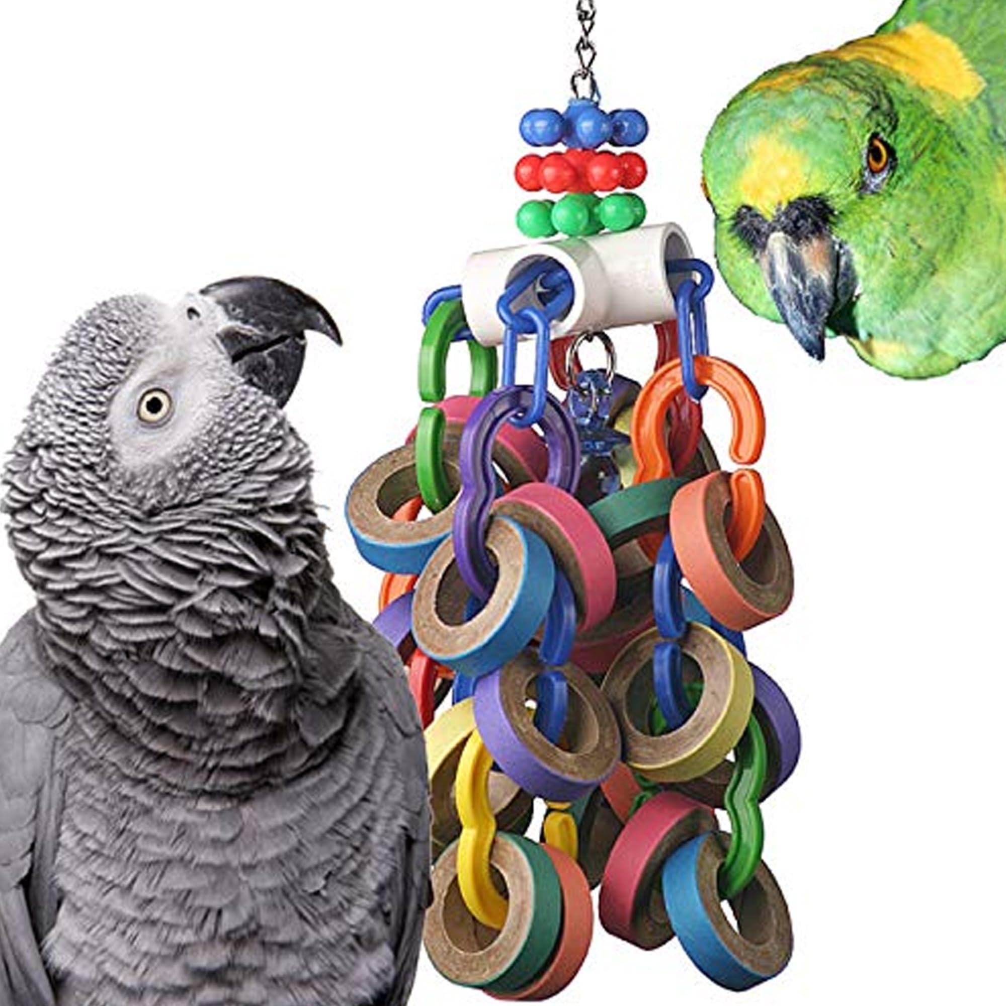 Bagel Cascade de Super Bird Creations pour gros oiseaux, stimule le jeu et l'exercice.