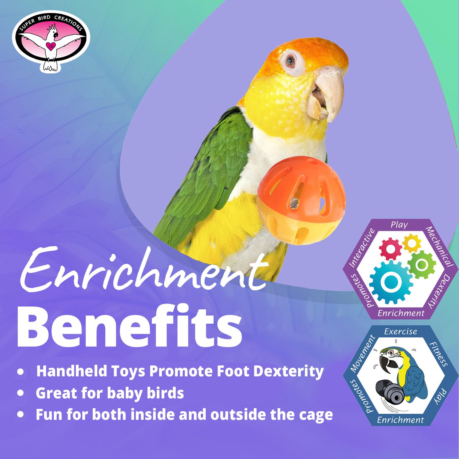 Ensemble 4 pièces, pratique rangement des jouets pour oiseaux.