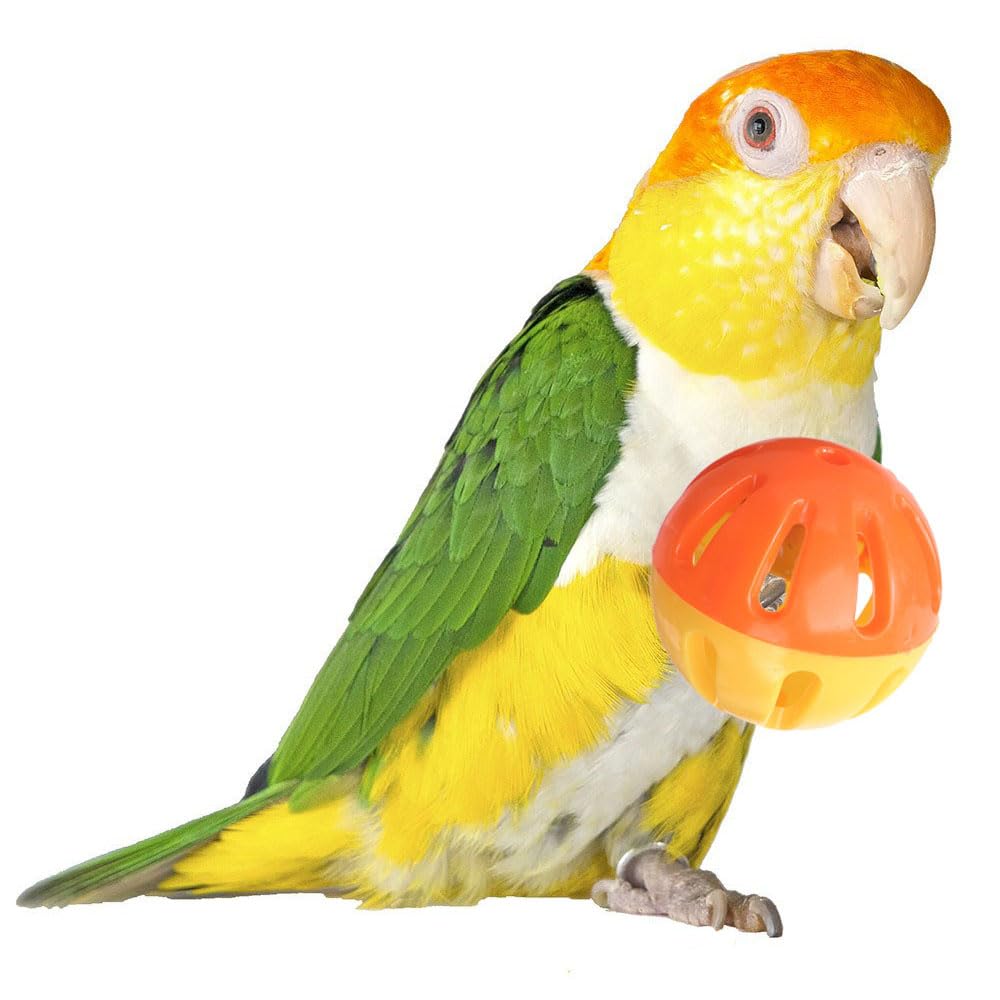 Birdie Balls de Super Bird Creations, jouet patte moyen pour oiseaux, favorise l'agilité des pattes.