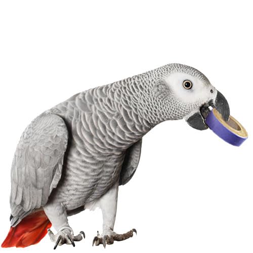 Fatty Bagels de Super Bird Creations: outil d'enrichissement et revalorisation des jouets.