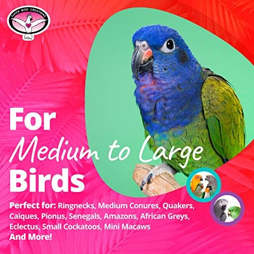 Super Bird Creations jouet-pied-oiseaux, idéal pour l'interaction et le divertissement.
