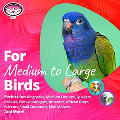 Super Bird Creations jouet-pied-oiseaux, idéal pour l'interaction et le divertissement.