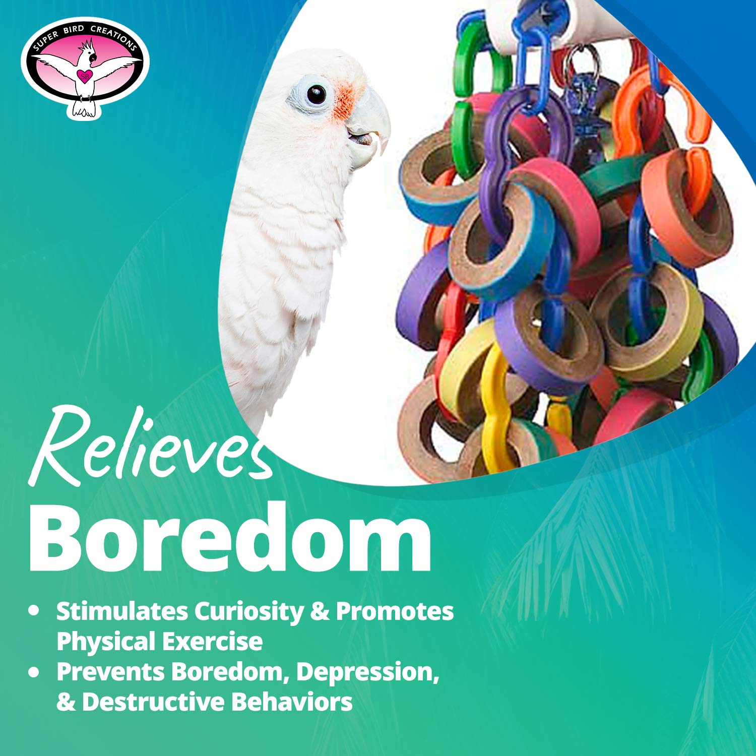 Mouvement rotatif du Bagel Cascade, divertissement actif et stimulation des instincts.