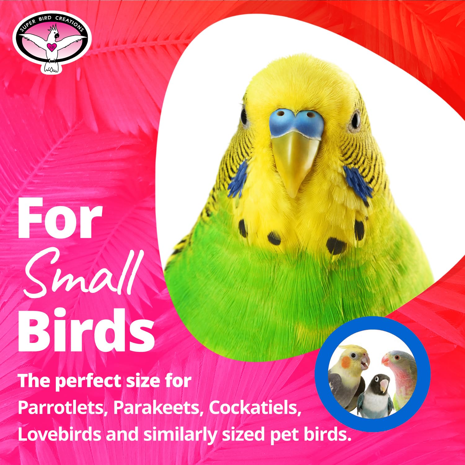 SB971 Noël Perles plastiques colorées – stimulation visuelle et tactile pour petits oiseaux