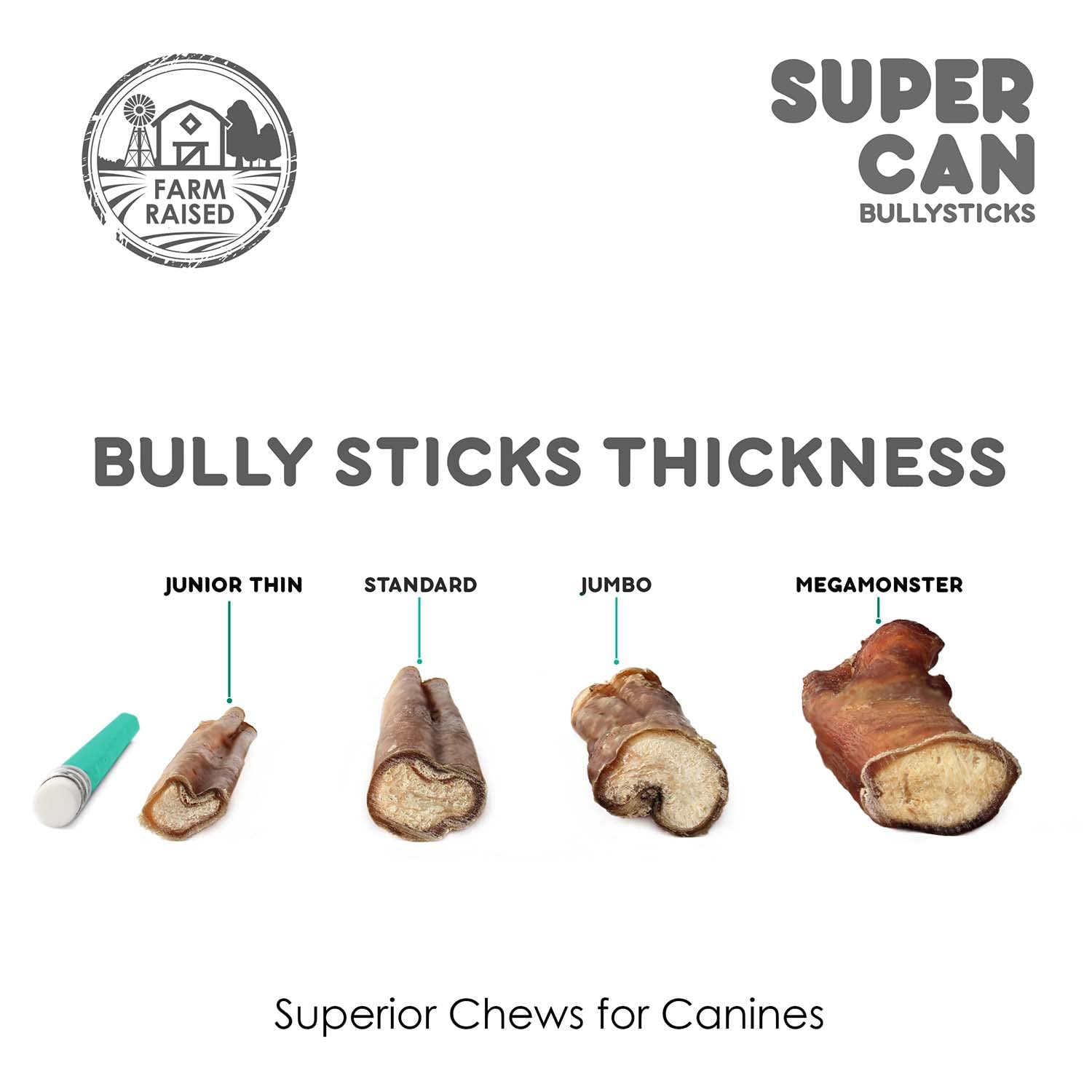 Goût fumé des BULLYSTICKS, faible odeur pour la mastication à la maison