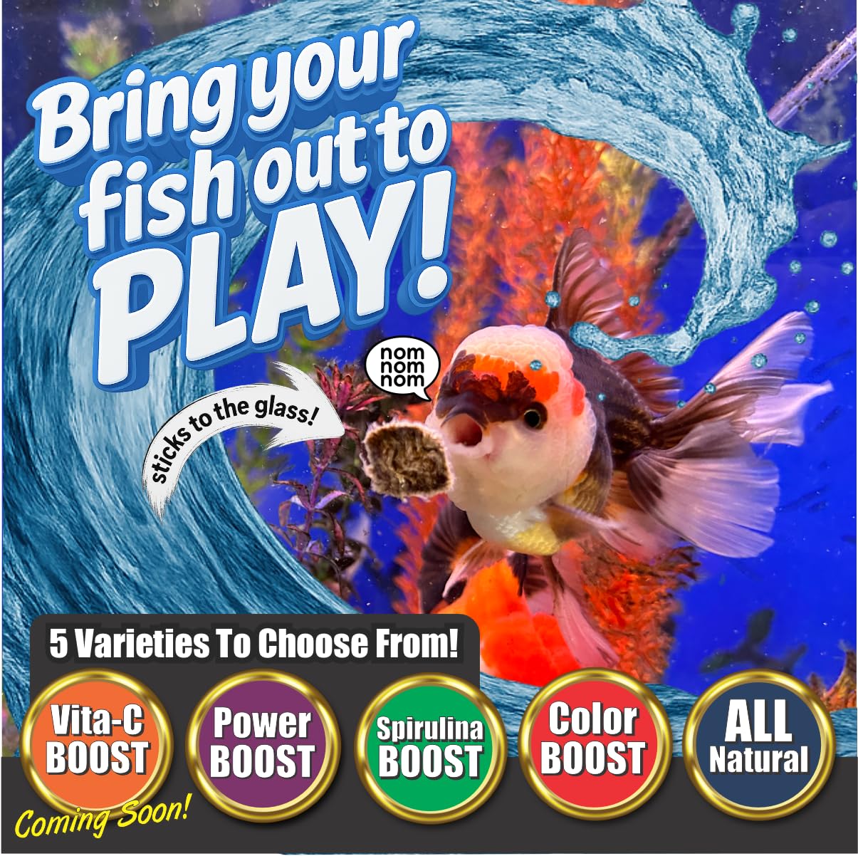 Super Cichlids: cubes lyophilisés riches en protéines, nourrissent poissons marins et tropicaux.
