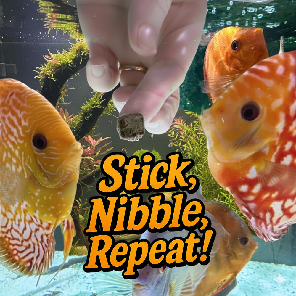 Peut convenir à discus, guppys et tetras pour un régime équilibré.