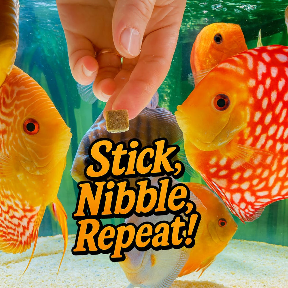 Super Cichlids: approvisionnement durable et sans conservateurs ajoutés.