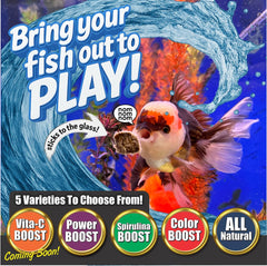 Emballage Super Cichlids avec absorbant oxygène, fraîcheur prolongée.