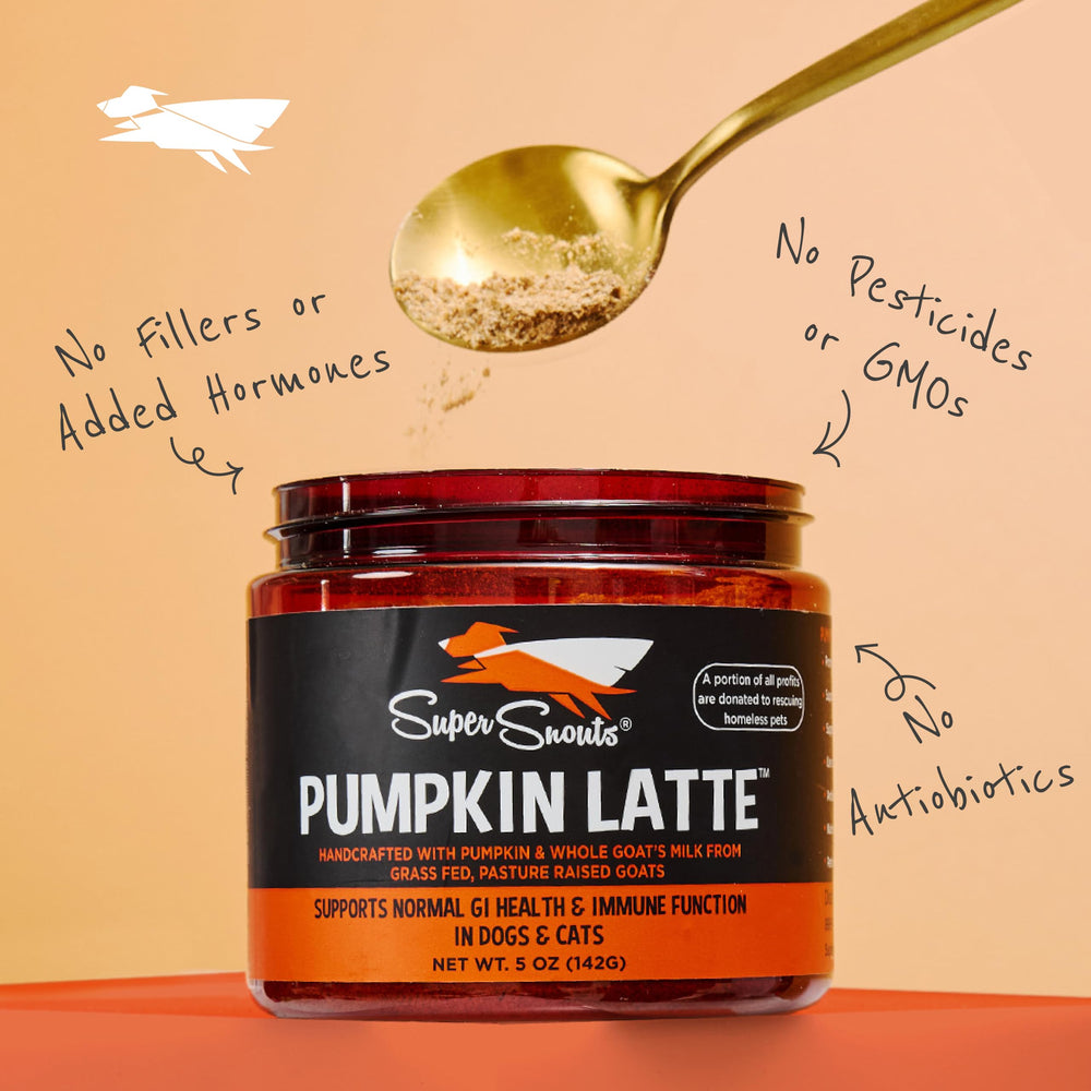 Super Snouts Pumpkin Latte – fabriqué aux États-Unis, traçabilité assurée.