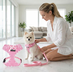 SuperBuddy securite sans tirage du cou, meilleur controle.