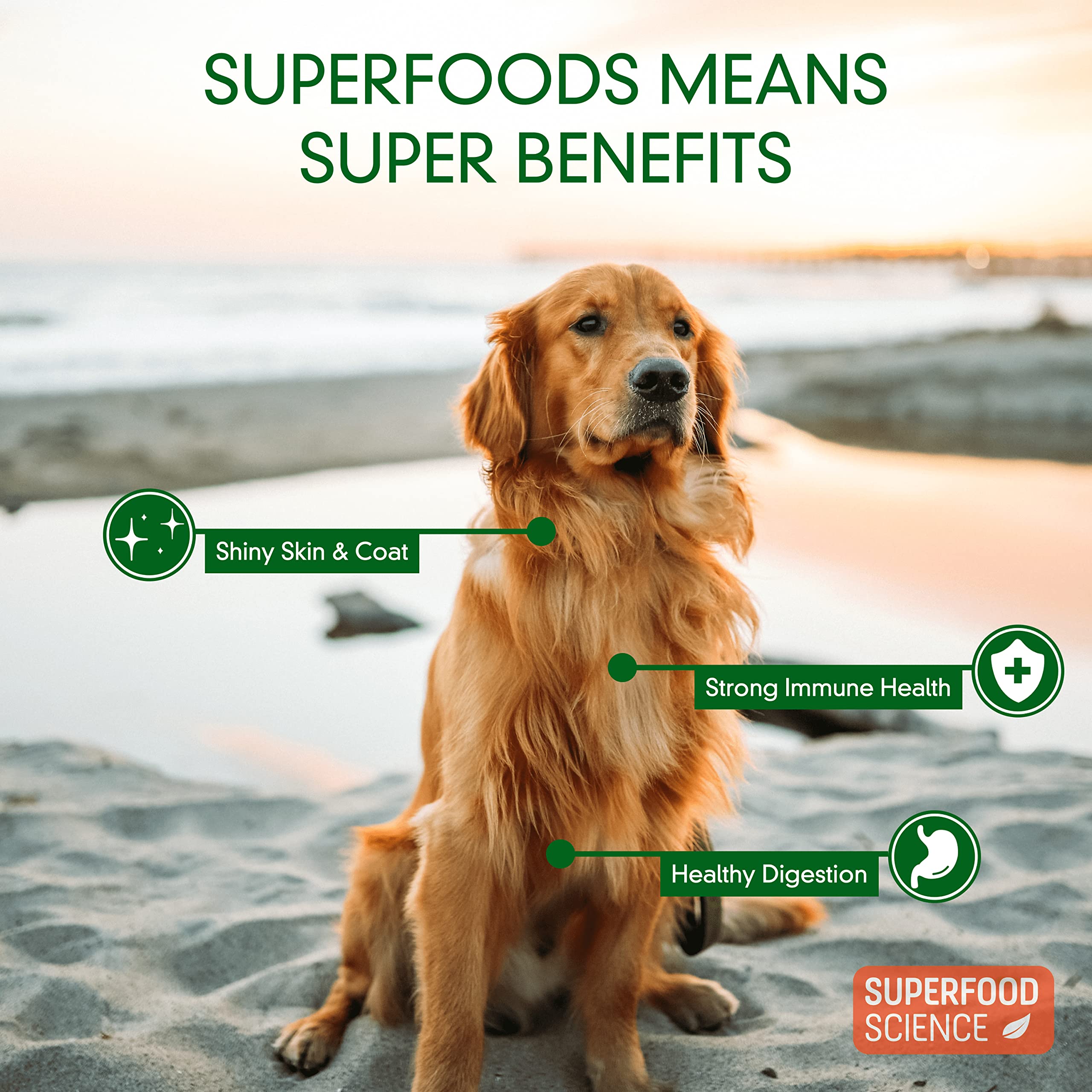 Friandises à faible calories sans céréales adaptées pour chiens actifs avec Superfood Science.