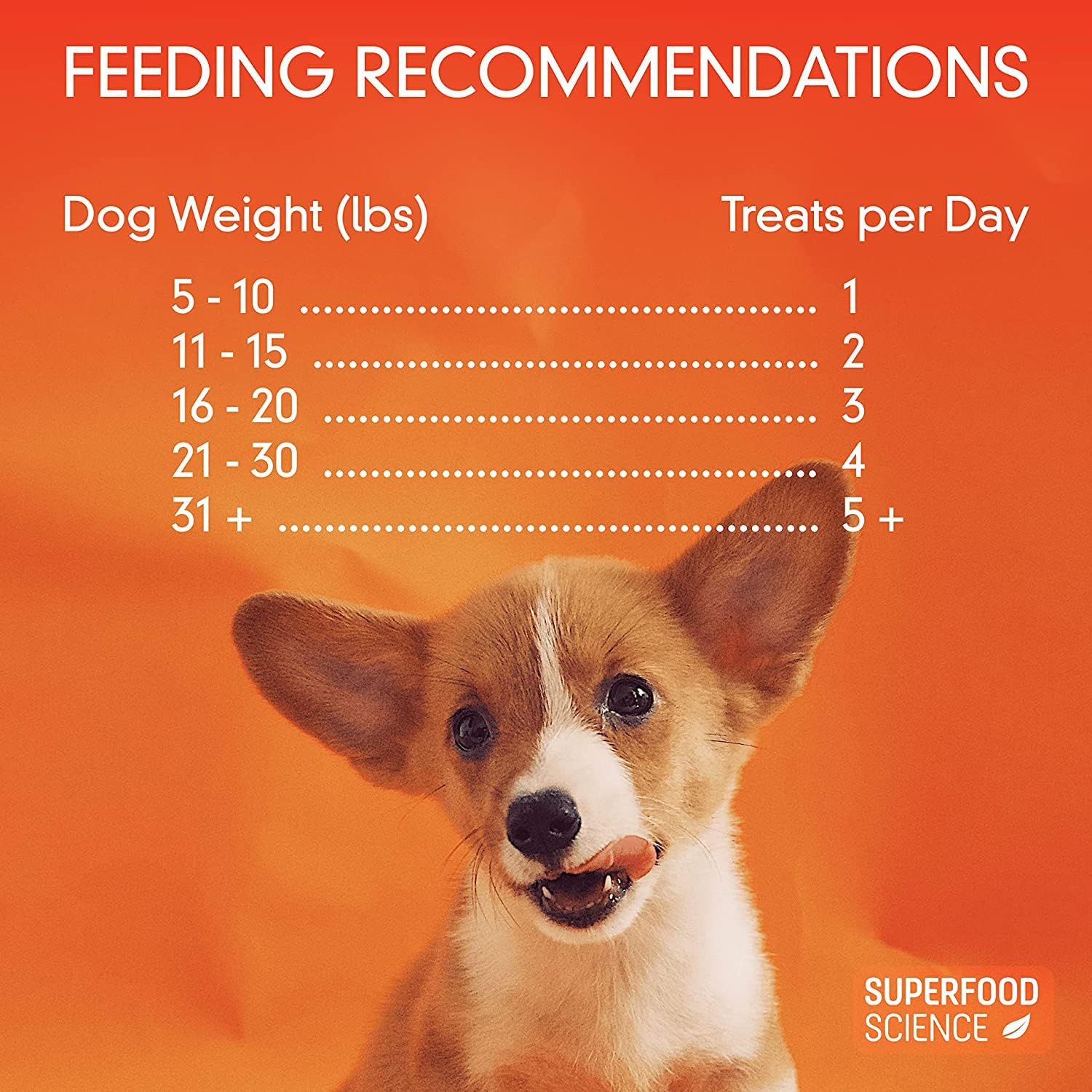 Récompenses appétissantes pour chiens de toutes tailles et morphologies.