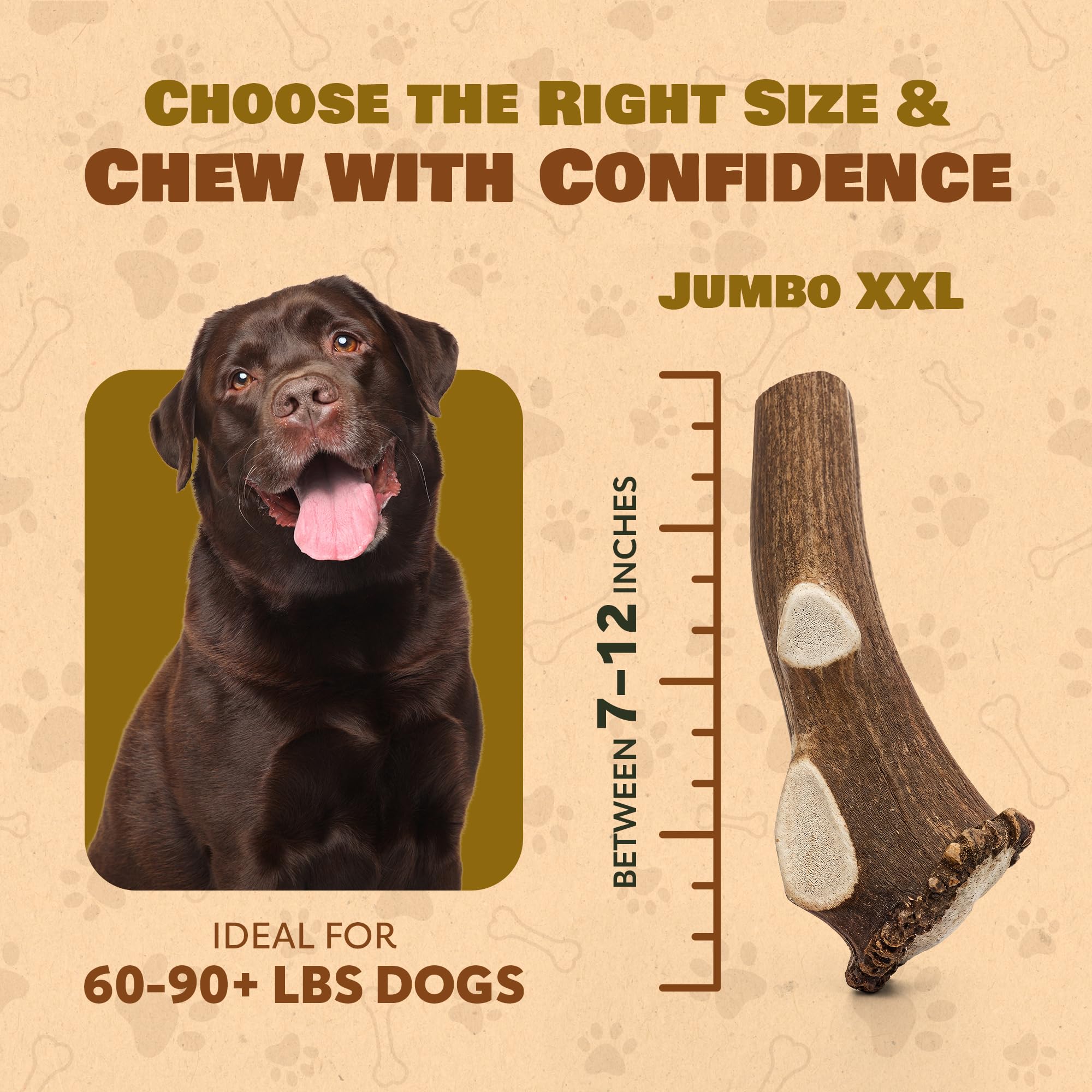 Superior Antler Dog Chews – bienfaits potentiels pour l'hygiène dentaire.