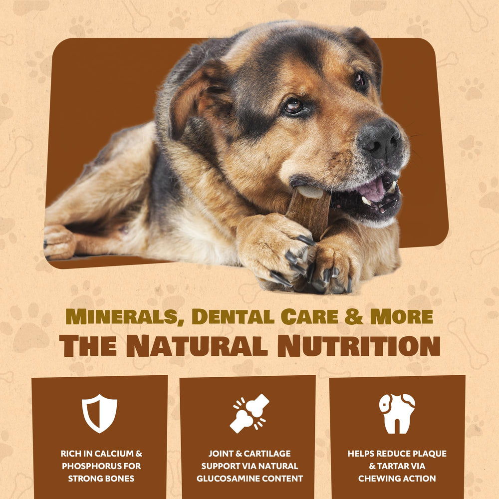 Superior Antler Dog Chews – matériau naturellement durable pour sessions longues.